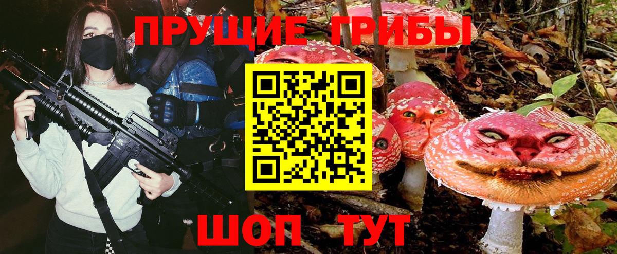 Псилоцибиновые грибы Cubensis  Вход с VPN  Кулебаки 