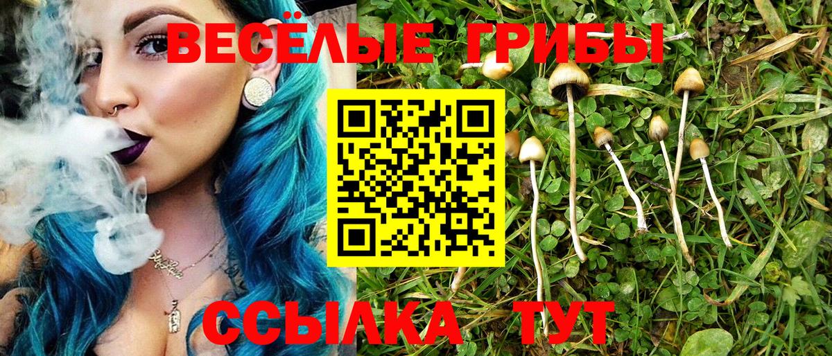 Псилоцибиновые грибы ЛСД Кулебаки